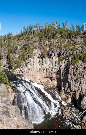 Gibbon Falls cascate, il Grand Canyon di Yellowstone, il Parco Nazionale di Yellowstone, Wyoming negli Stati Uniti. Foto Stock