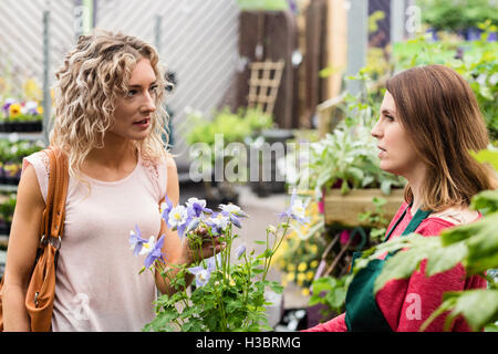 Fiorista femmina parlando di donna Foto Stock