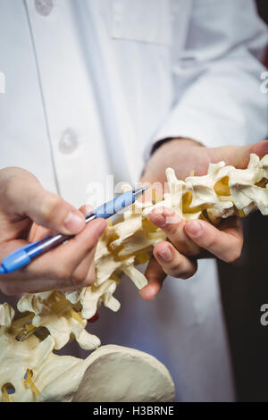 Fisioterapista puntando al modello della colonna vertebrale Foto Stock