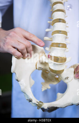 Fisioterapista puntando al modello della colonna vertebrale Foto Stock