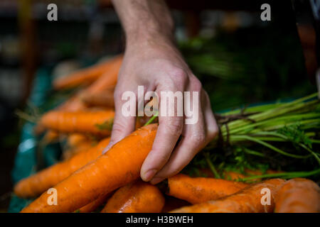 Uomo con la carota nel supermercato Foto Stock