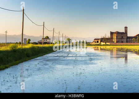 Una strada di campagna e sulle risaie vicino a Abbazia di Lucedio (già abbazia benedettina), Trino Vercellese, Piemonte, Italia. Foto Stock