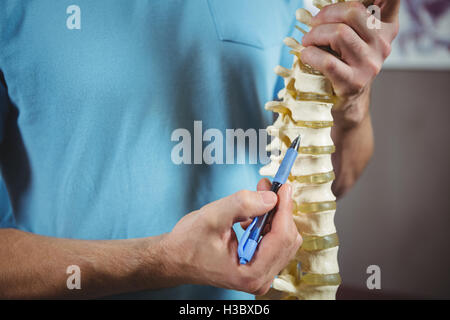 Fisioterapista puntando al modello della colonna vertebrale Foto Stock