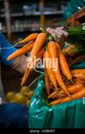 Uomo con le carote nel supermercato Foto Stock