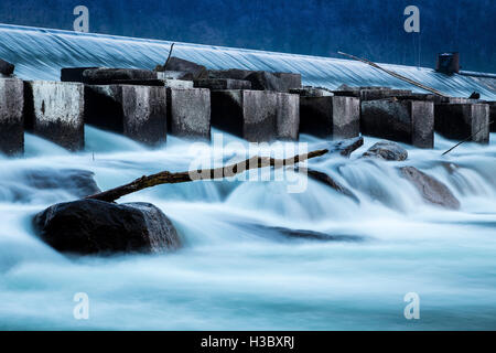 Un ramo nelle fredde acque vicino a diga Panperduto, Somma Lombardo, provincia di Varese, Lombardia, Italia. Foto Stock