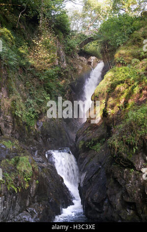Aira Force cascata, Matterdale, Cumbria, England, Regno Unito Foto Stock