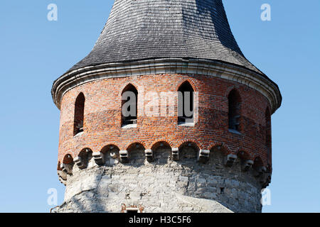 Castello medievale vicino a Torre contro il cielo blu Foto Stock