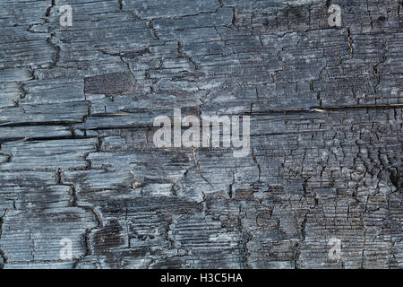 Bruciò legno texture close-up sullo sfondo di legno carbonizzati Foto Stock