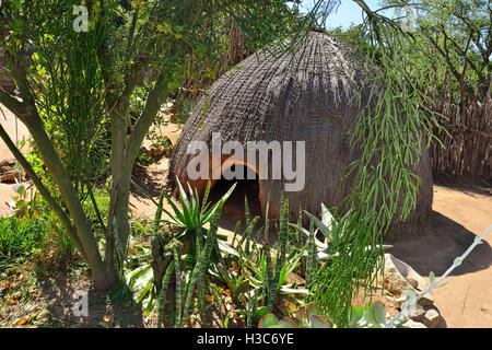 Capanne rotonde circondate da coralli e byres per bestiame e capre, recinzioni di canna in un museo vivente dello stile di vita Swazi durante il 1850, Mantenga, Eswatini Foto Stock