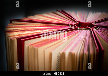 6 vecchi e usati hardback magenta libri o libri di testo visto da sopra Foto Stock