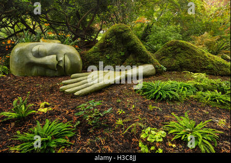 Moss Lady dormire a Beacon Hill Park-Victoria, British Columbia, Canada. Foto Stock