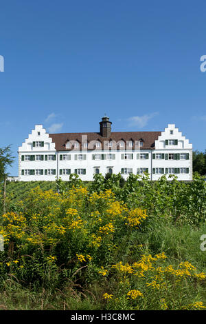 Il castello di Hersberg, Immenstaad, Lago di Costanza, Baden-Wuerttemberg, Germania Foto Stock