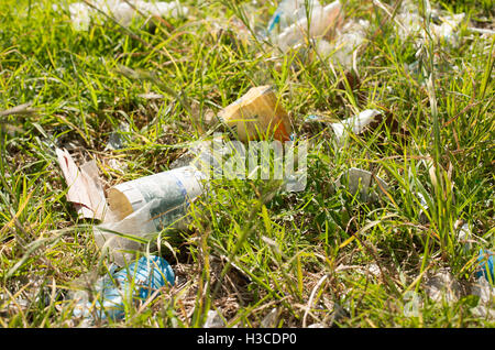 Cestino disseminati sul terreno Foto Stock