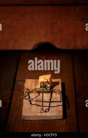 Carica mousetrap formaggio Foto Stock