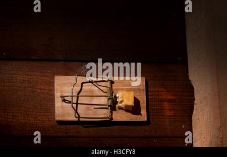 Carica mousetrap formaggio Foto Stock