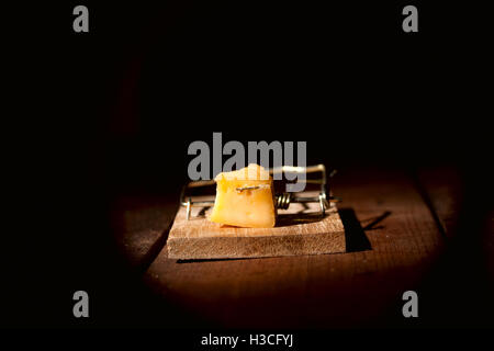 Carica mousetrap formaggio Foto Stock