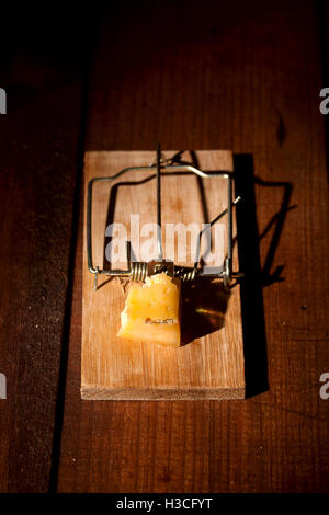 Carica mousetrap formaggio Foto Stock