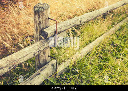 Rural staccionata in legno lungo il campo della segale nella stagione estiva. Retrò foto stilizzata con correzione delle tonalità effetto filtro vecchio stile Foto Stock