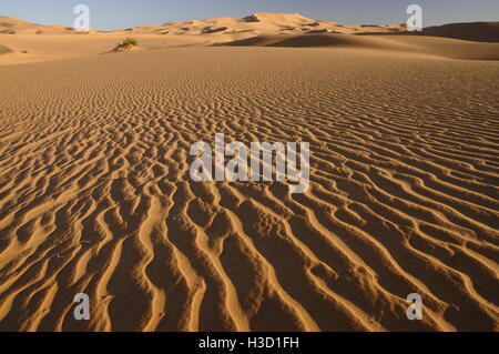 Dune nel deserto del Sahara, Ubari, Libia, Africa Foto Stock