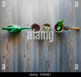 Vista aerea di attrezzature da giardinaggio e piante da vaso sul tavolo di legno Foto Stock