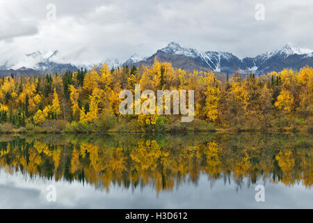 Colori autunnali della foresta boreale riflette ancora in un lago, Alaska, STATI UNITI D'AMERICA Foto Stock