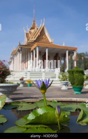 Ninfee nel giardino del palazzo reale di Phnom Penh Cambogia Foto Stock