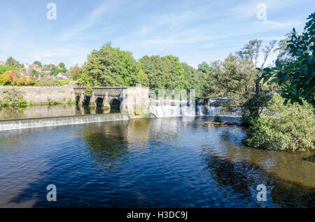 Il fiume Derwent fluente attraverso Belper in Derbyshire Foto Stock