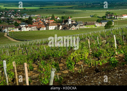 Morey-St-Denis village e chiesa da Clos des Lambrays Grand Cru vigna Côte d'Or, Francia. [Côte de Nuits] Foto Stock