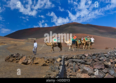 TIMANFAYA Camel trek trekking in treno con i turisti nel Parco Nazionale di Timanfaya vulcani Lanzarote isole Canarie Spagna Foto Stock