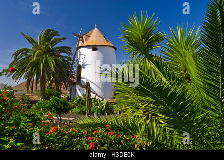 LANZAROTE Agriturismo Vecchio Mulino a Vento a Agricola El Patio, Tiagua, Lanzarote, Isole Canarie Spagna Foto Stock