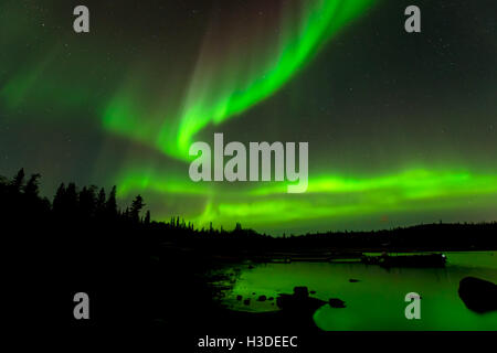 Luci di ballo - Colorful Northern lights discesa cielo stellato sopra la foresta sempreverde che circonda un lago. Foto Stock