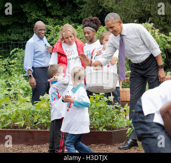 Washington DC, Stati Uniti d'America. Il 6 ottobre, 2016. Il presidente Barack Obama 'alta cinque' uno studente che sta aiutando la First Lady Michelle Obama raccogliere le verdure nel suo ultimo White House orto il raccolto . Credito: Patsy Lynch/Alamy Live News Foto Stock