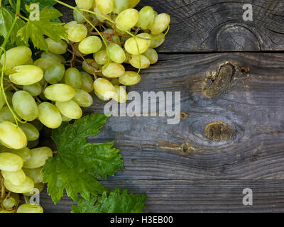 Grappolo di uva bianca su una superficie in legno è vecchia sinistra composizione verticale Foto Stock