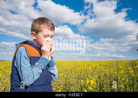 Little Boy in giallo canola field soffia il naso e che soffrono di allergia al polline. Foto Stock