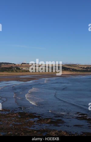 Lunan Bay angus scozia ottobre 2016 Foto Stock