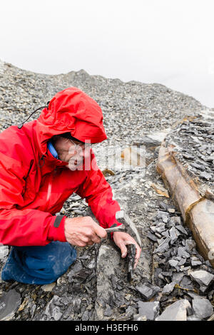Un uomo in cerca di trilobiti. Foto Stock