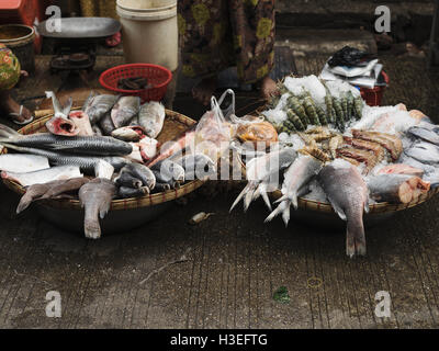 La pesca fresca venduta al mercato del pesce di Yangon, Myanmar (Birmania) Foto Stock