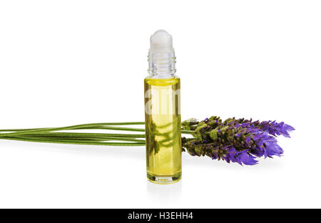 Olio essenziale e freschi di fiori di lavanda in aromaterapia naturale isolato su sfondo bianco Foto Stock