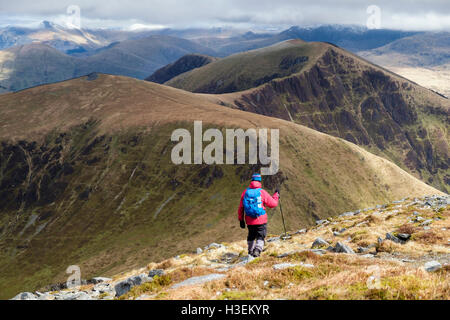 Escursionista solitario scendendo Craig Cwm Silyn escursionismo verso Mynydd Tal-y-mignedd una montagna sul presepe Nantlle Ridge nel Parco Nazionale di Snowdonia. Wales UK Foto Stock