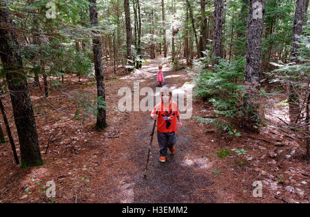 Un piccolo ragazzo (4 anni) e la ragazza (2 yr old) camminare attraverso la foresta di pini Kouchibouguac nel Parco Nazionale di New Brunswick Foto Stock