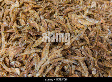 Vista ravvicinata alla frittura di piccoli pesci Foto Stock