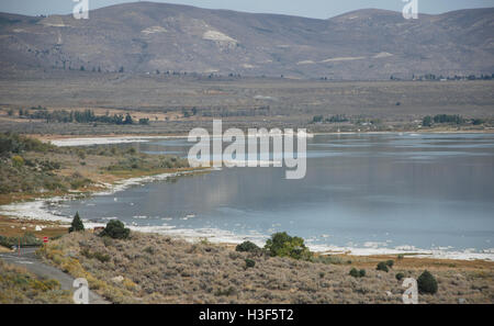 Lago di mono e bacino Visitor Center USA Foto Stock