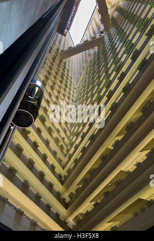 Singapore Raffles Boulevard, Pan Pacific Hotel, Atrium Foto Stock