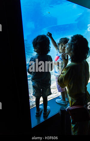 Singapore, Sentosa, acquario marino, madre e bambini visualizzazione di pesce nel grande serbatoio Foto Stock