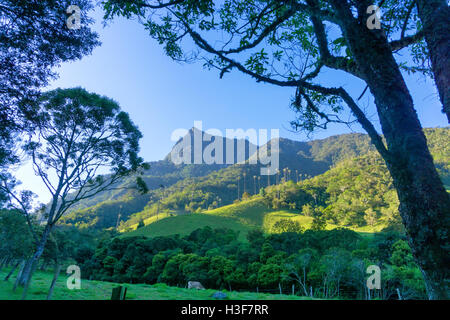 Vista della Valle Cocora nei pressi di Salento, Colombia Foto Stock