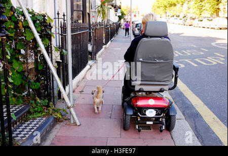 Donna sulla mobilità scooter prende il suo cane per una passeggiata - Brighton Regno Unito Foto Stock