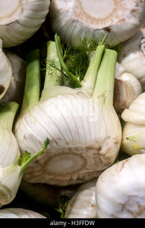 Close up di finocchio fresco lampadine in vendita il prossimo al verde estate campi da squash e pomodori nel mercato degli agricoltori. Foto Stock