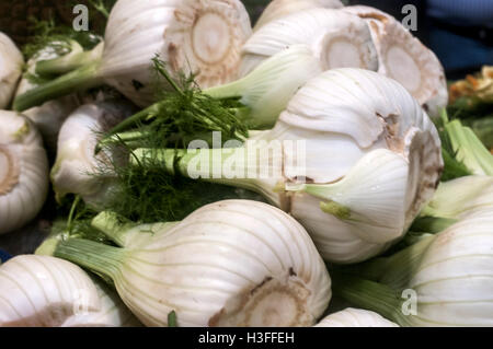 Close up di finocchio fresco lampadine in vendita il prossimo al verde estate campi da squash e pomodori nel mercato degli agricoltori. Foto Stock