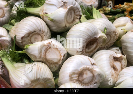 Close up di finocchio fresco lampadine in vendita il prossimo al verde estate campi da squash e pomodori nel mercato degli agricoltori. Foto Stock