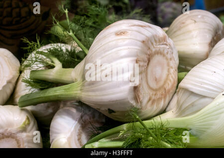 Close up di finocchio fresco lampadine in vendita il prossimo al verde estate campi da squash e pomodori nel mercato degli agricoltori. Foto Stock